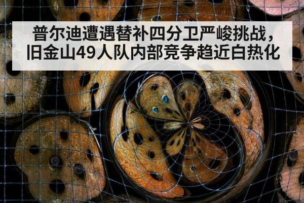 普尔迪遭遇替补四分卫严峻挑战,旧金山49人队内部竞争趋近白热化